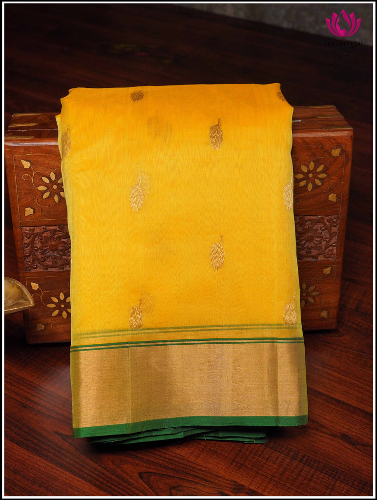 Chanderi Silk Saree in Yellow and Green 1