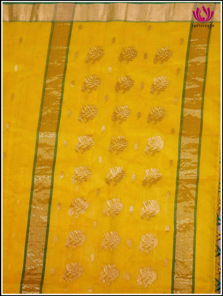 Chanderi Silk Saree in Yellow and Green 5