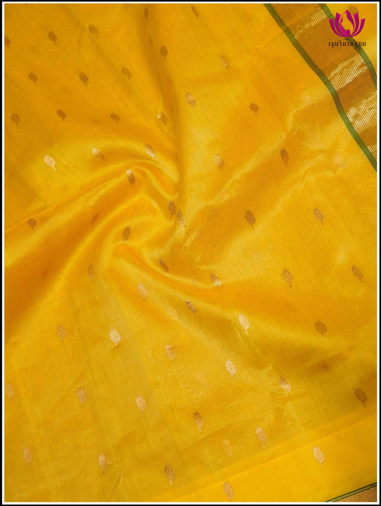 Chanderi Silk Saree in Yellow and Green 11