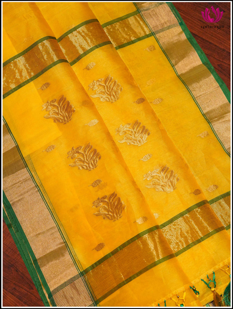 Chanderi Silk Saree in Yellow and Green 13